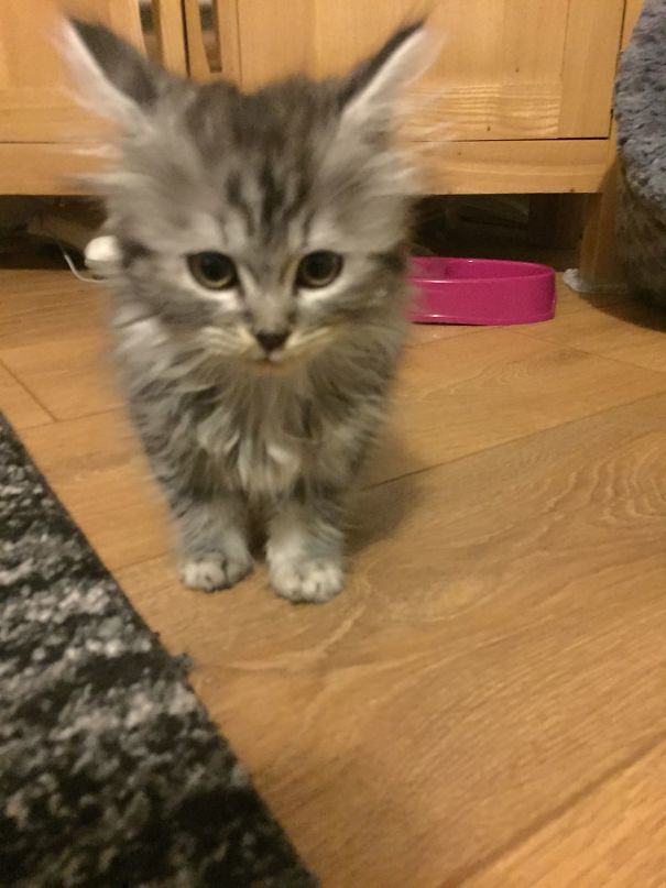 I Don't Know Who You Are But I Will Find You And I Will Kill You