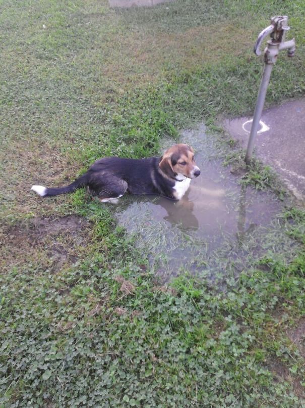 Poofy's First Time Going To A Park! And Then When It's Time To Leave She Does This..