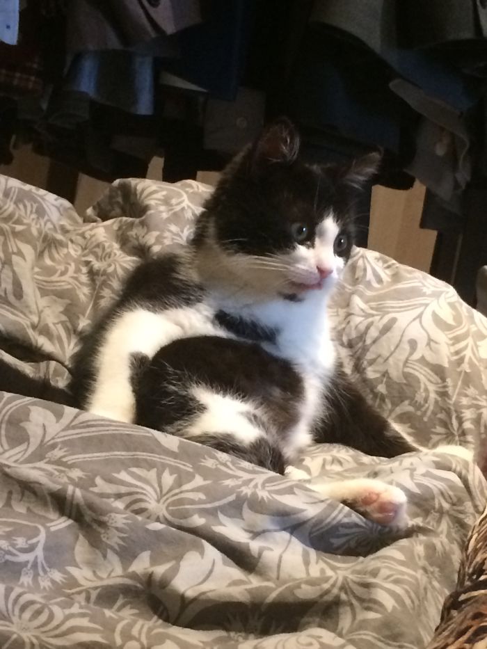 I Love My Cat!!!!!!!$€^%^%###%