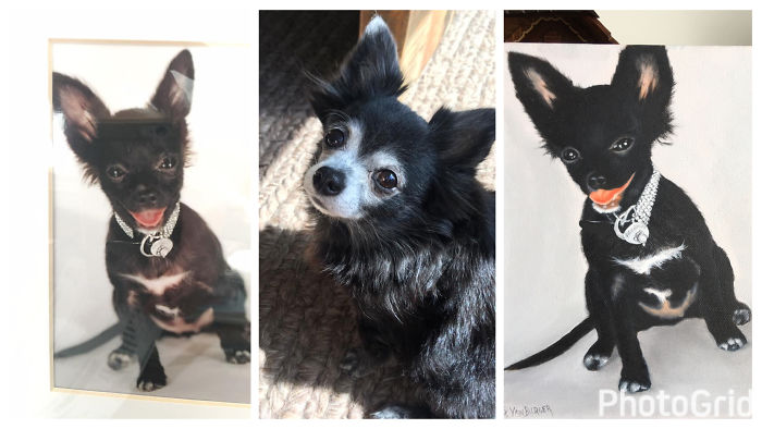 Boo- Photo Far Left- Painting Far Right- Center Boo Now!! Such A Sweetheart!