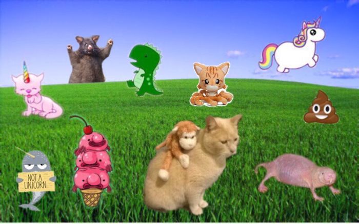 The Visit To The Weirdest Field In The World!