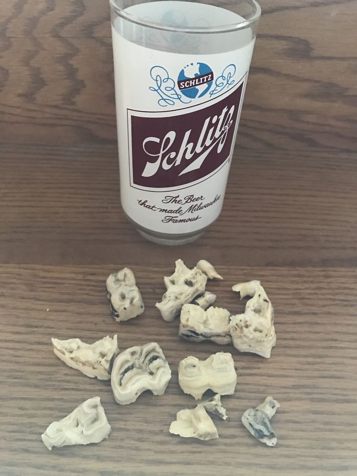 My Husband Got Mushrooms And My Son Get Cranberry Sauce....what Did I Get You Ask??? The Floated Teeth That She Kept From My Husbands Favorite Horse As A Child!