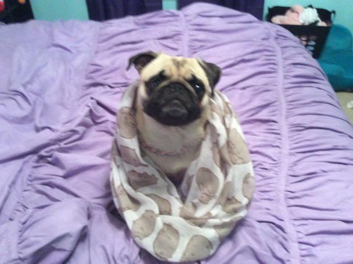 Doesn't She Look Fabulous? (she Didn't Even Care!)