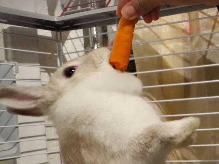 She Must Be So Mad At Me