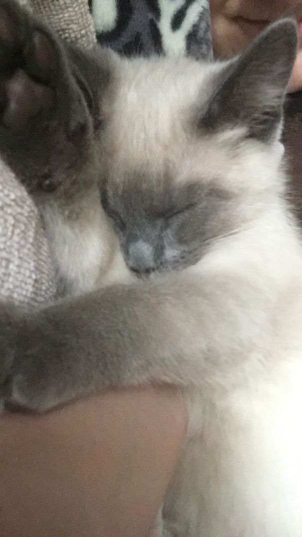 First Time Snuggling