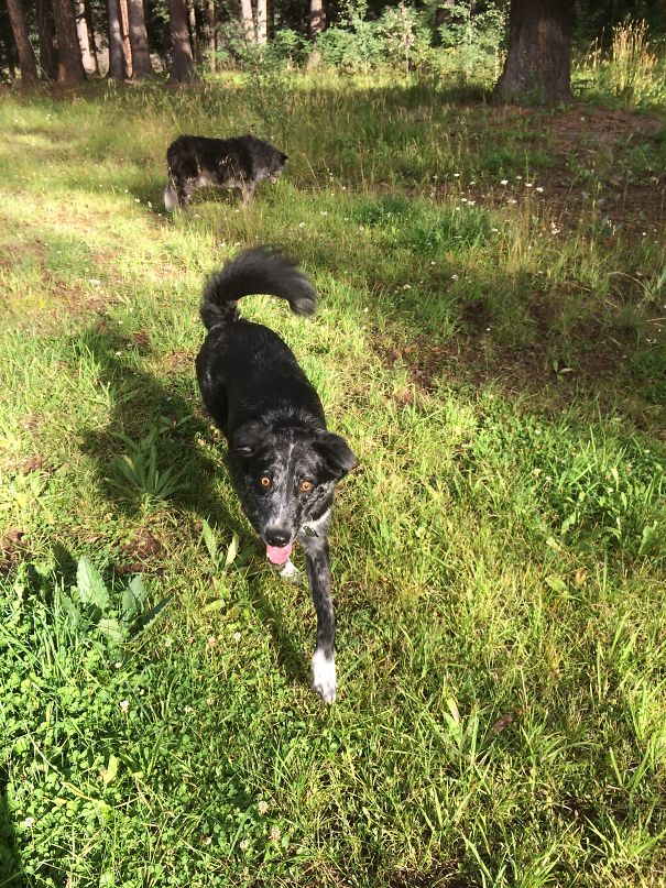 First Time Camping. "omg, Look At All The Outside"