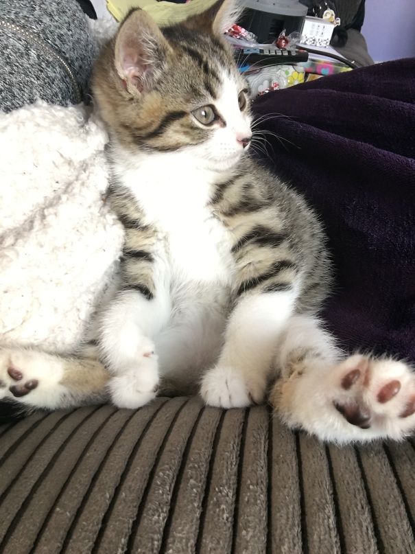 Relaxing Watching Tv