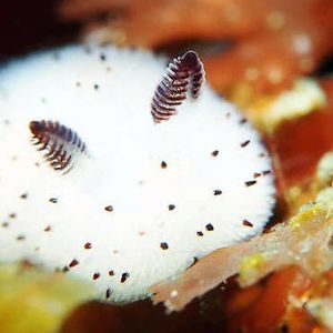 vanessahong2004 avatar