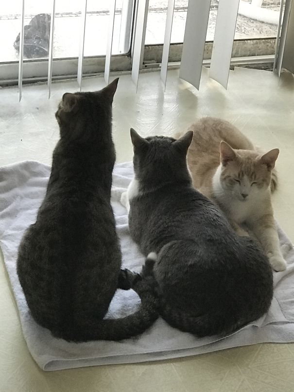 When You Have A Small Leak And Throw Down A Towel......then Turnaround A Minute Later......