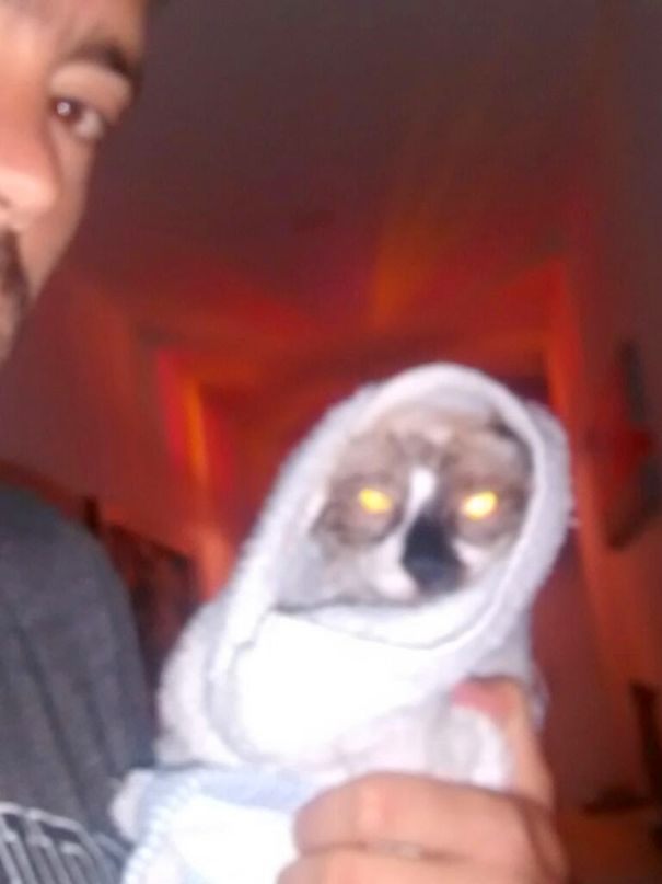 After Taking A Bath... I Think He Hates Me