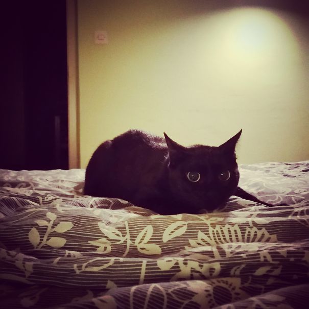 Go To Sleep, Everything Is Going To Be Fine...