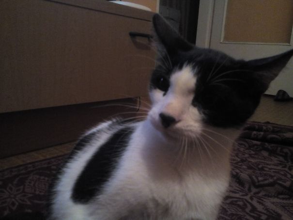 Who Do You Think You're Talking To??