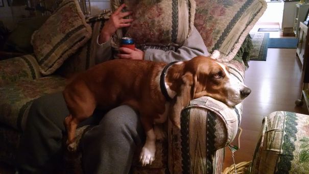 Mabelline Louise Melting In The Lamplight.