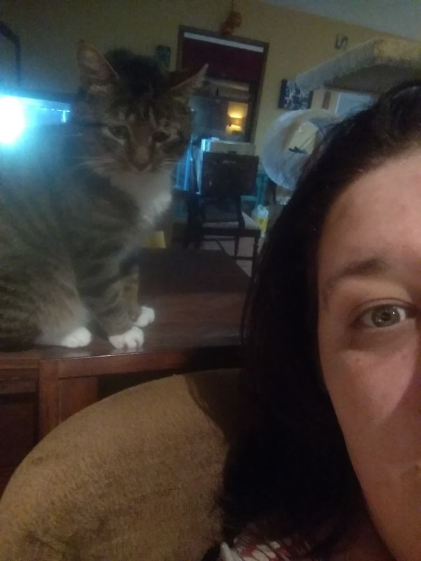 Borris Is Always Sneaky .