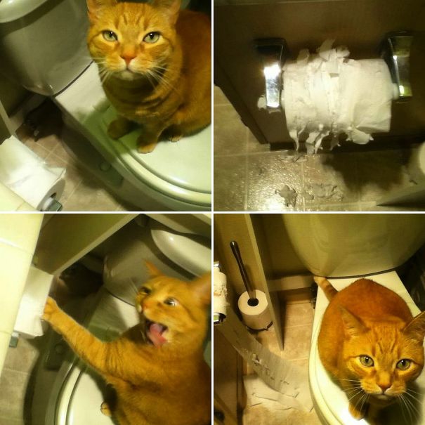 This Tp Is Too Pure And Untainted. I'll Fix That...