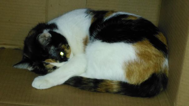 We Dared To Wake Her From Her Beauty Sleep