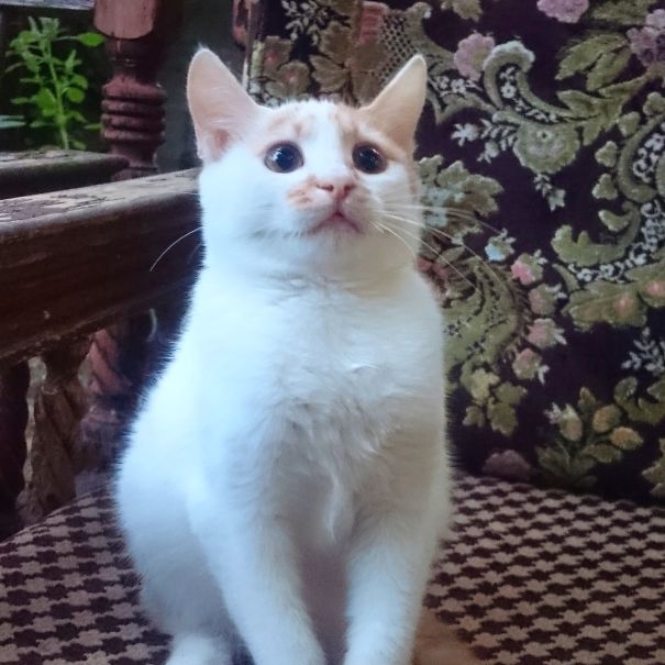 Going Outside For The First Time