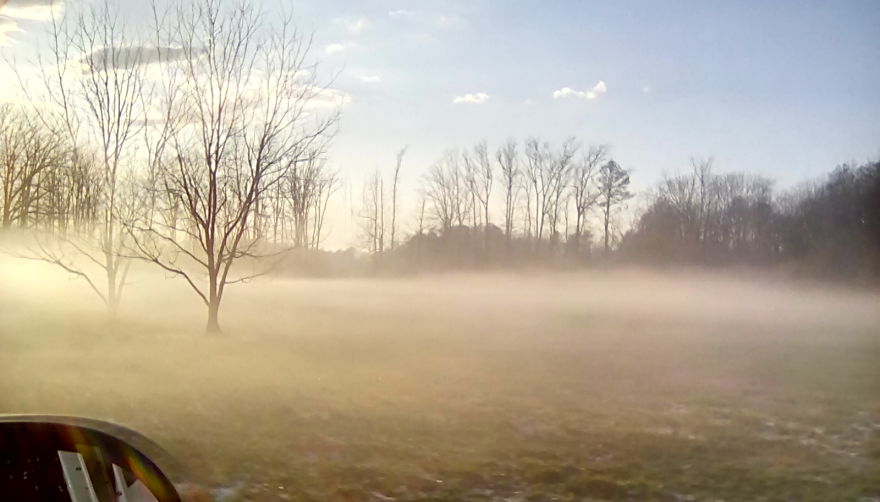 Pictures I Took After A Hail Storm