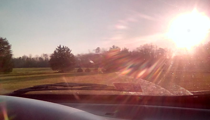 Pictures I Took After A Hail Storm