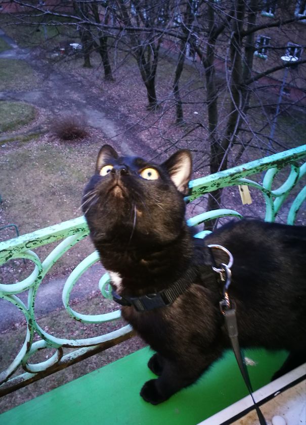 First Time Outside The Window