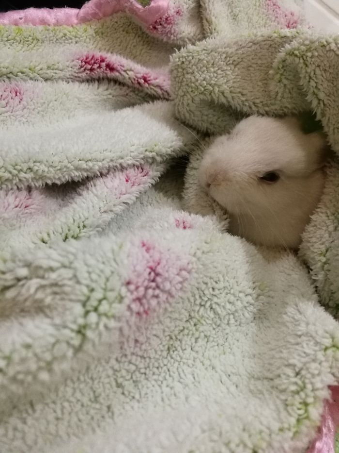 I Don't Know If It Get Annoyed 😂