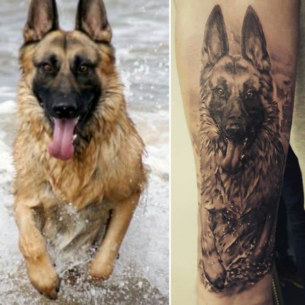 Wolfy Diving By Lincoln Mcknuckles