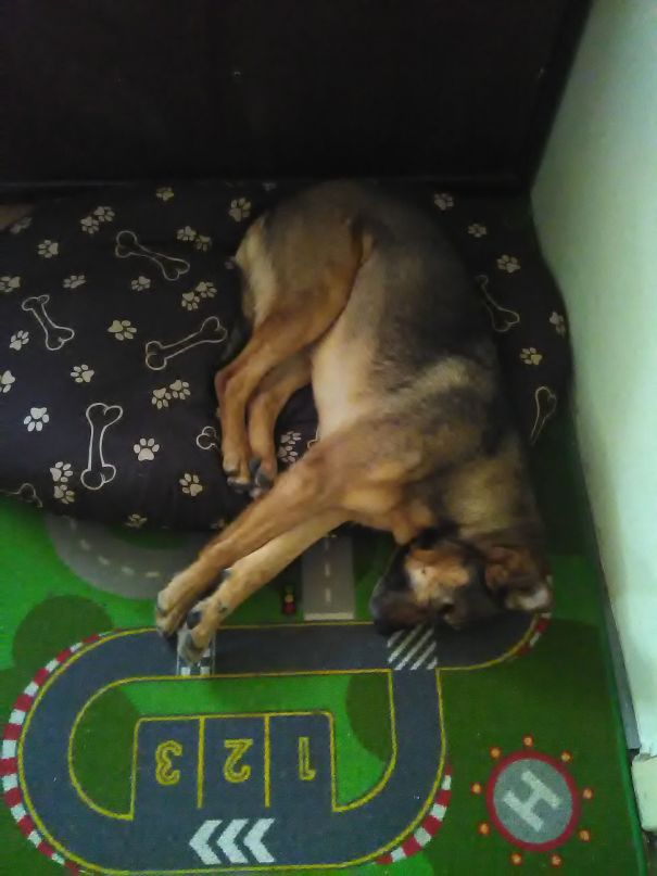 Nora Melt Down Of Her Bed