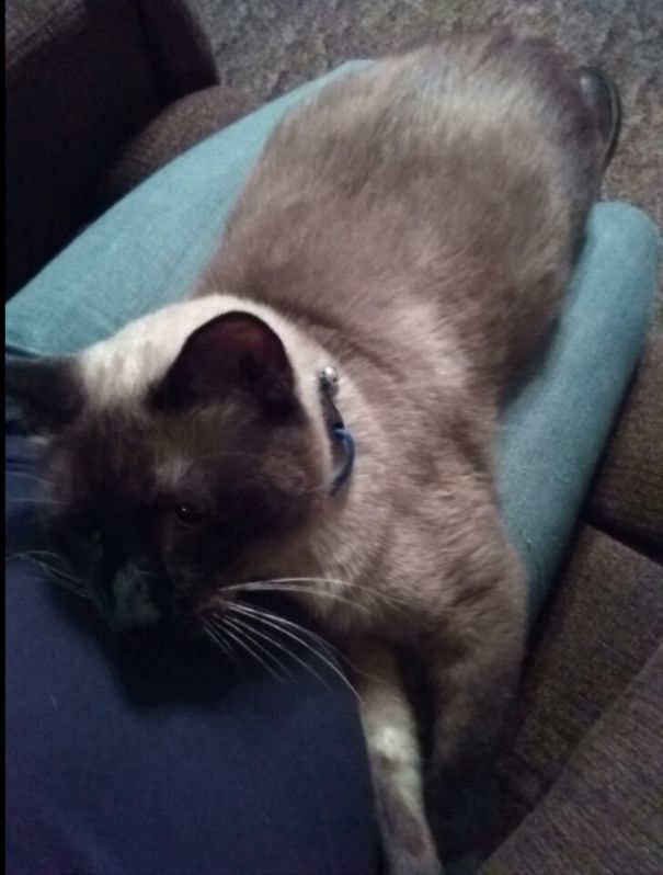 Asian Melted Into My Lap! Will He Wash Off My Jeans?