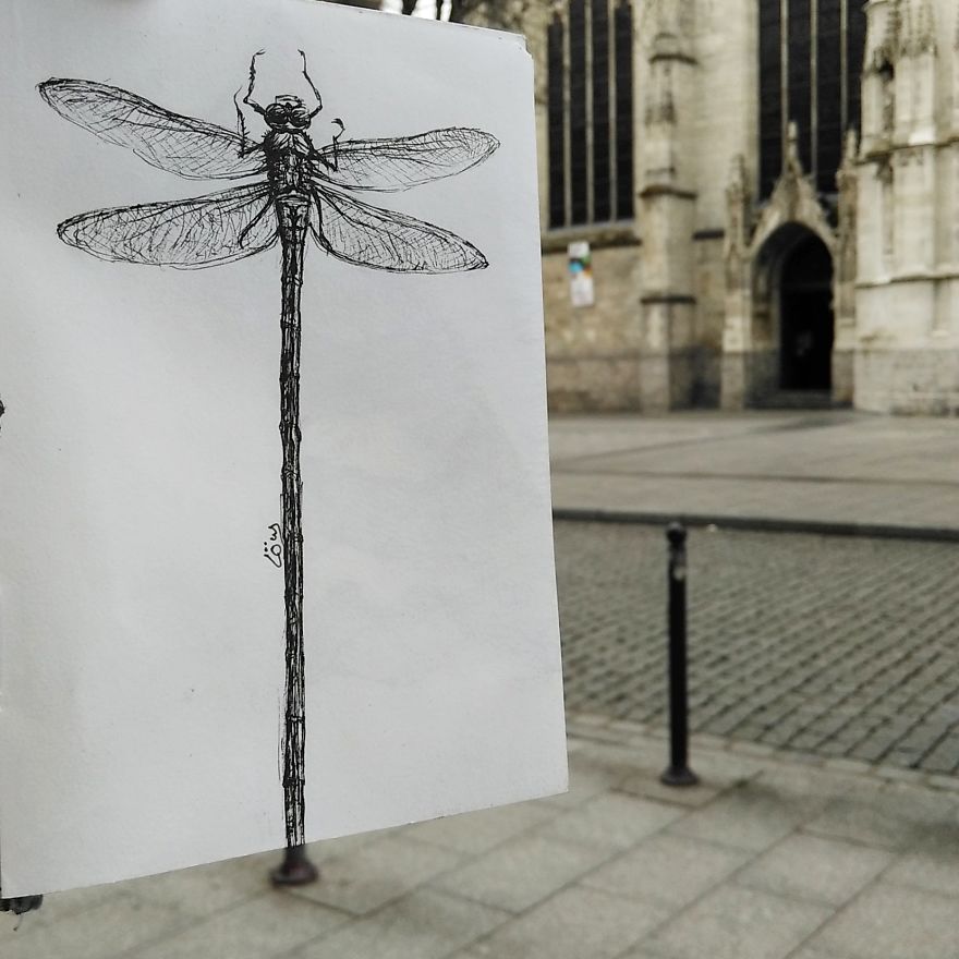 I Put My Drawings Everywhere I Put My Drawings Everywhere