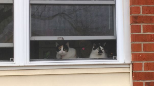 Not Sure What They're Plotting, But They're Plotting Something