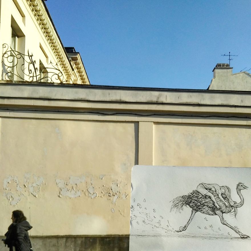 I Put My Drawings Everywhere I Put My Drawings Everywhere