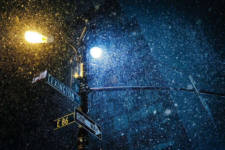 Stella Snow Storm In Nyc