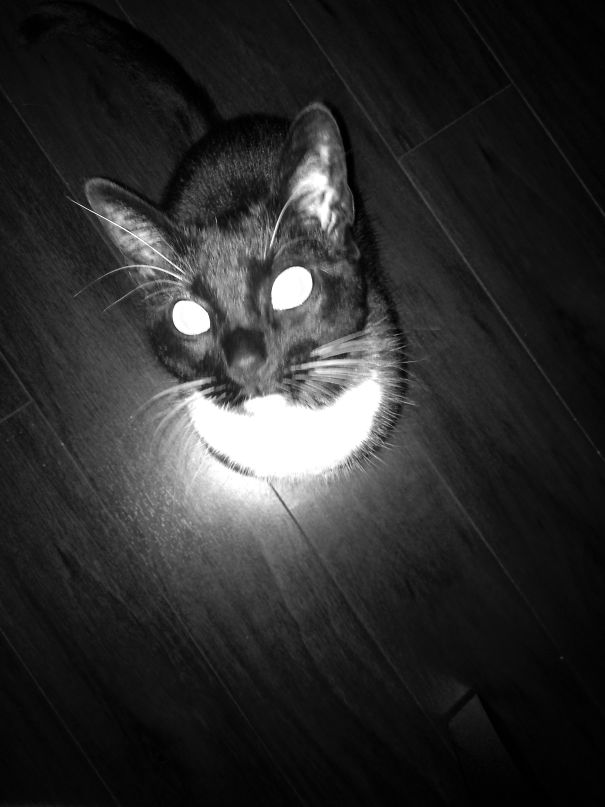 I Will Take Over Your Soul!