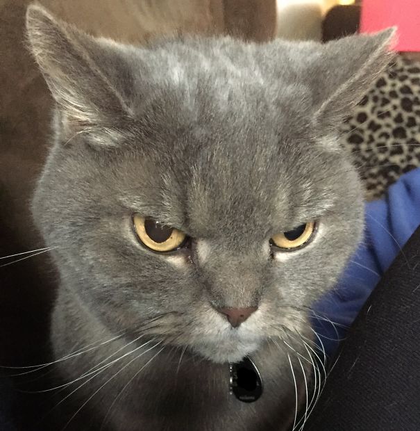 She'll Steal Your Soul While You Sleep (unless You Feed Her Now)