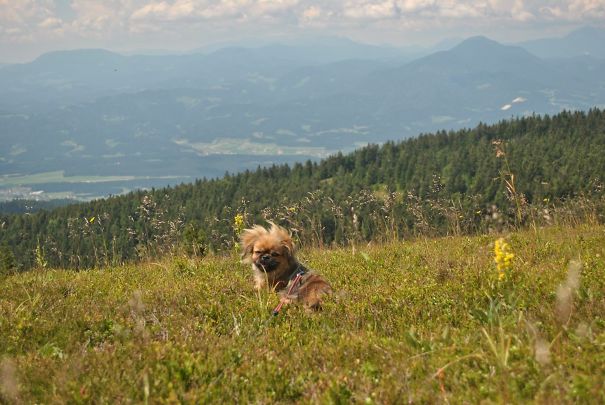 My Zena's First Time Hiking ❤