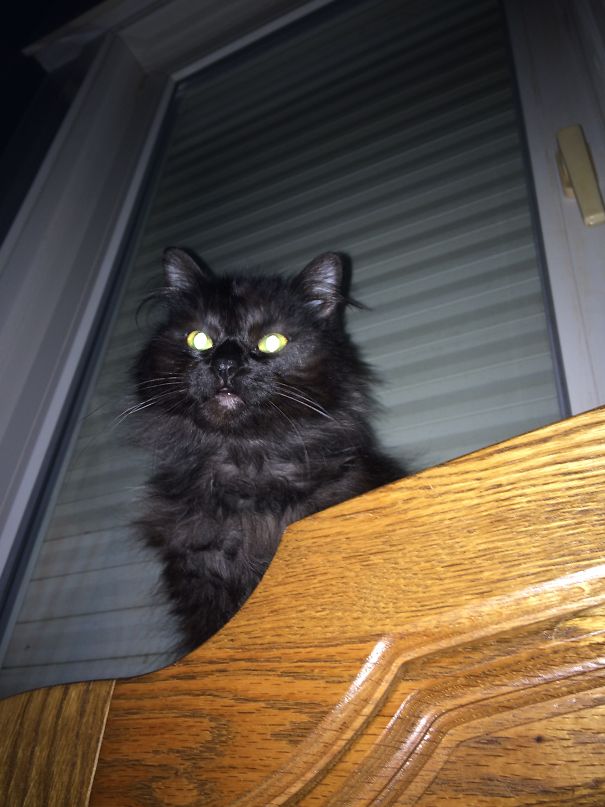 Every Morning This The First Thing I See When I Open My Eyes