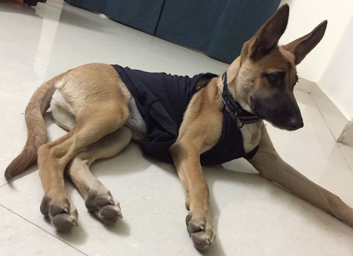 Looking Sexy In A Tank Top... Doctors Orders!