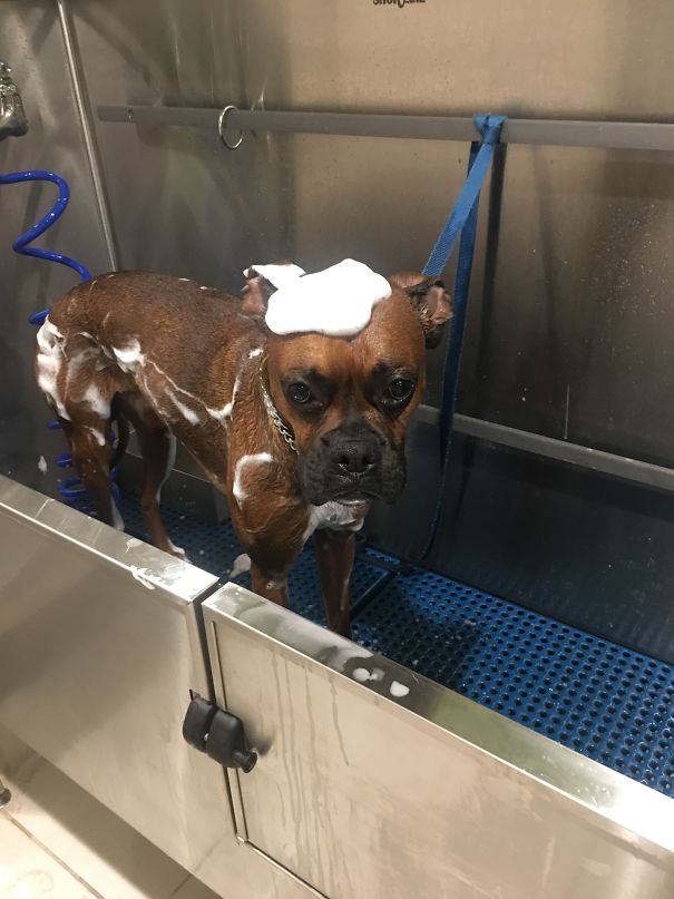 First Bath Not In Bathtub