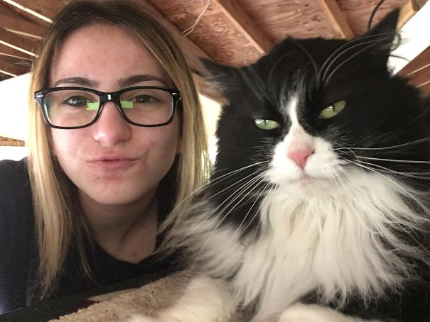 My Cat Plotting Her Revenge Because I Took A Picture