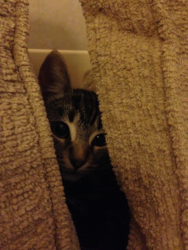 First Time Watching The Walking Dead...