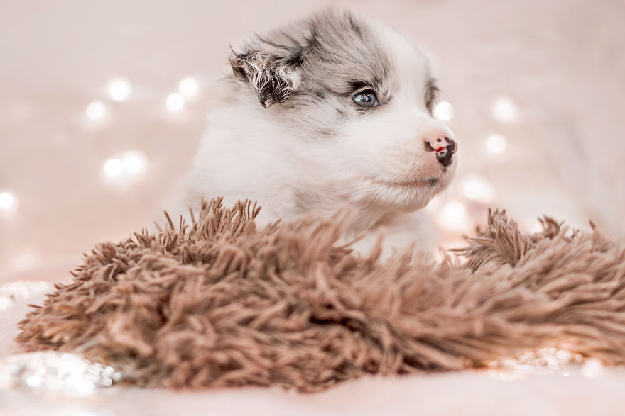 I Took Some Photos Or Adorable Babies With Little Paws