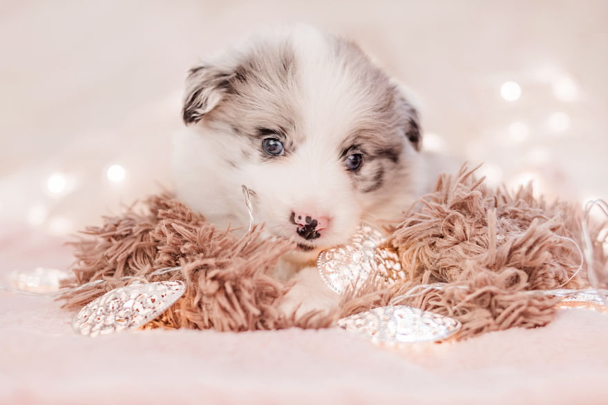 I Took Some Photos Or Adorable Babies With Little Paws