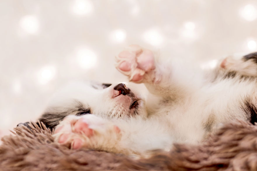 I Took Some Photos Or Adorable Babies With Little Paws