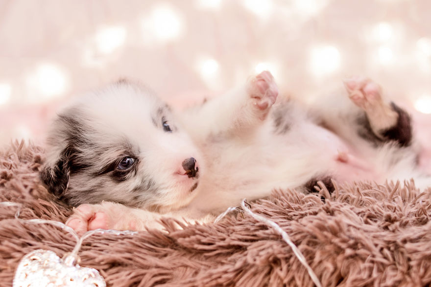 I Took Some Photos Or Adorable Babies With Little Paws