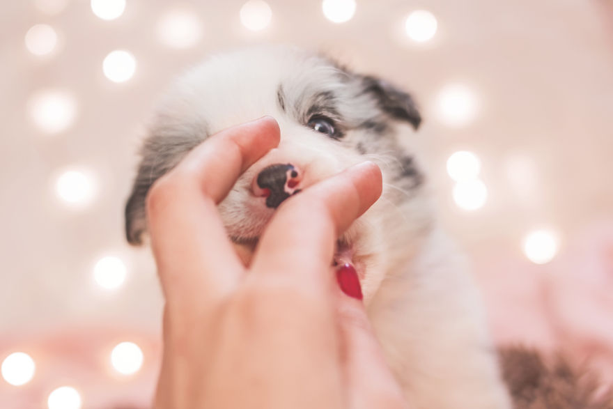 I Took Some Photos Or Adorable Babies With Little Paws