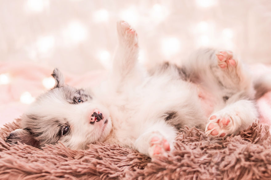 I Took Some Photos Or Adorable Babies With Little Paws