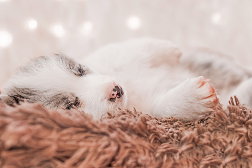 I Took Some Photos Or Adorable Babies With Little Paws