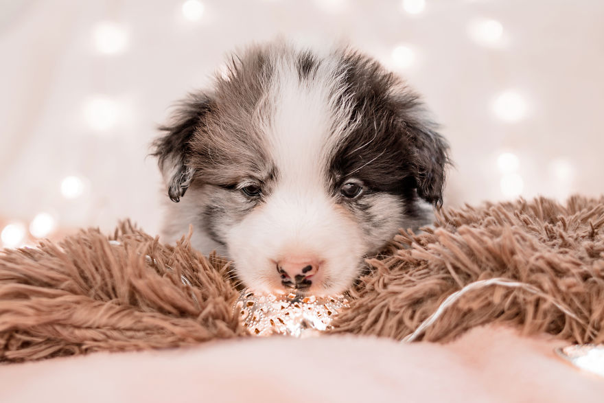 I Took Some Photos Or Adorable Babies With Little Paws