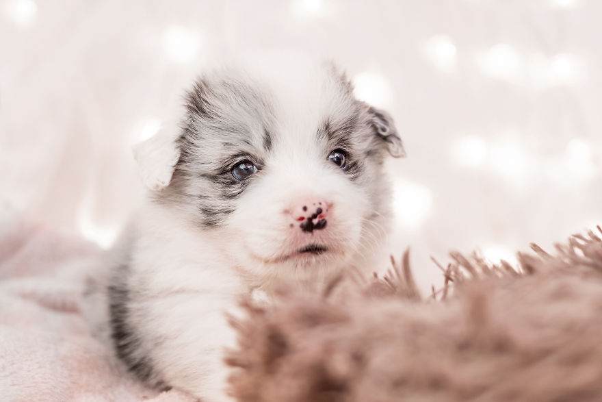 I Took Some Photos Or Adorable Babies With Little Paws