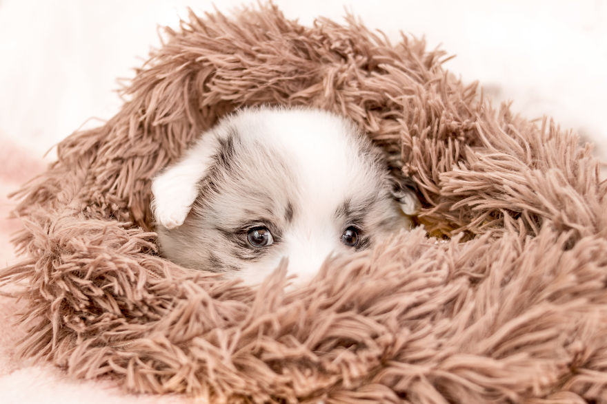 I Took Some Photos Or Adorable Babies With Little Paws